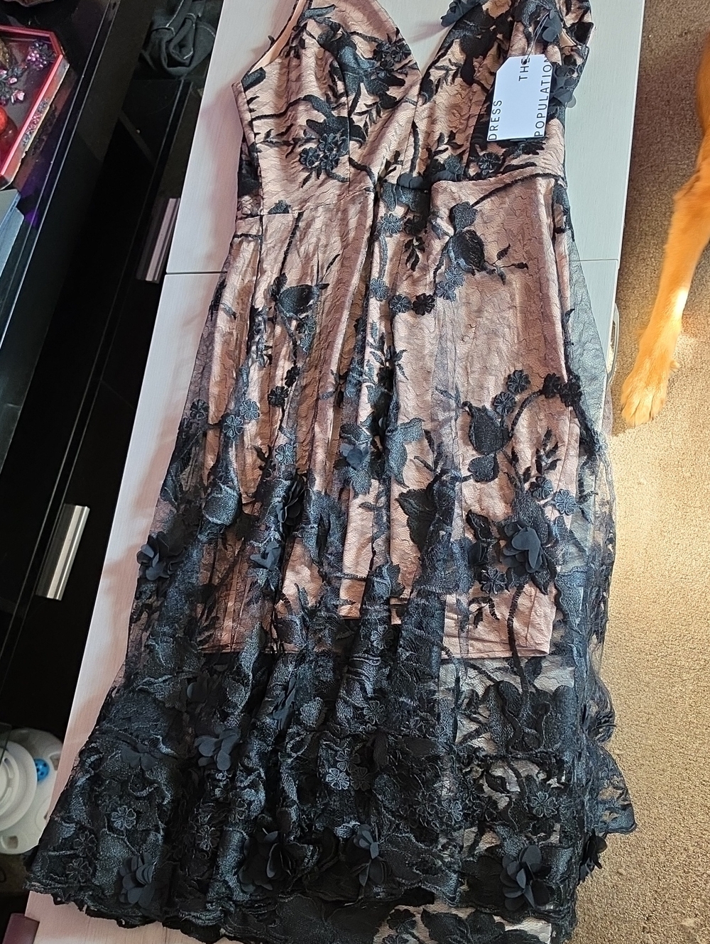 Dress the Population Black Lace Overlay Nude A-Line Midi Skirt